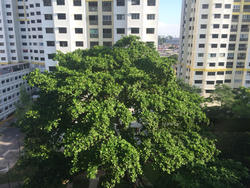 Blk 10 Jalan Bukit Ho Swee (Bukit Merah), HDB 2 Rooms #117182222